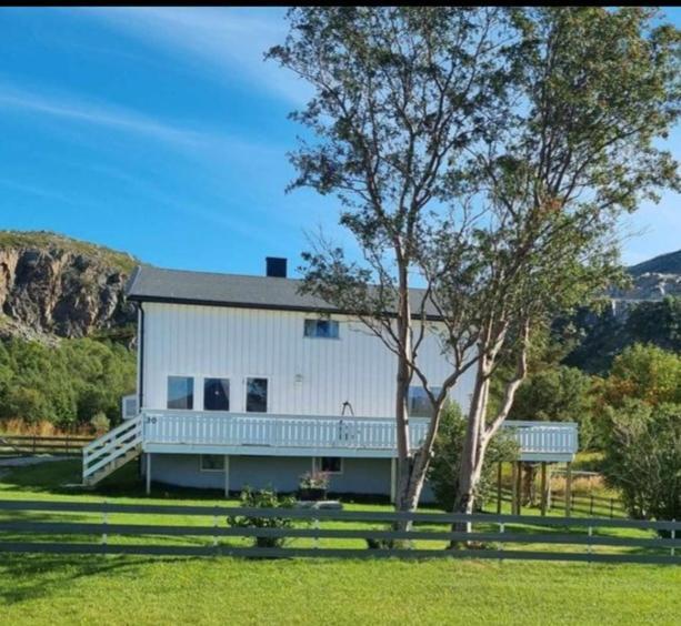 Grotfjord Holiday home *